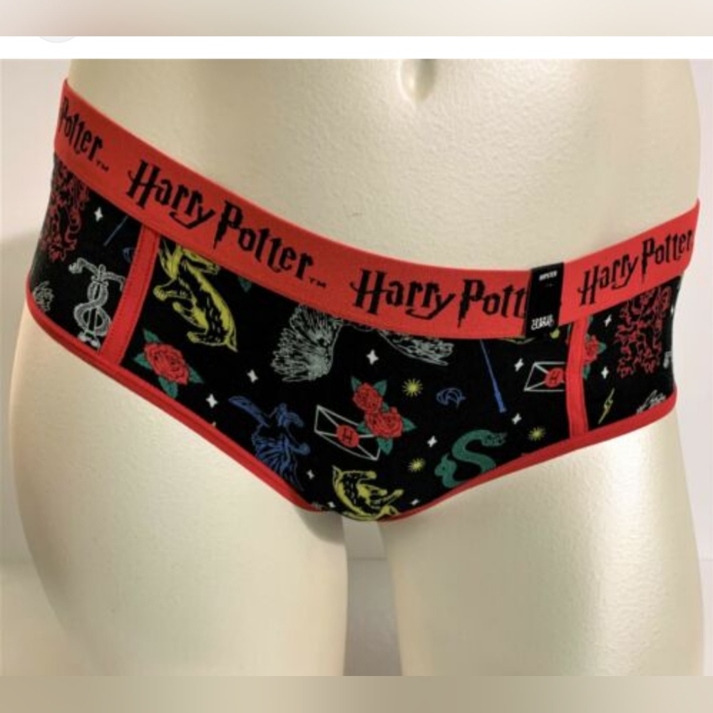 NWT Harry Potter Torrid hipster panties size 3